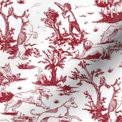 Small Dog Park Toile, Red on White