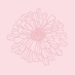 chrysanthemum - pink