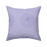 chrysanthemum purple