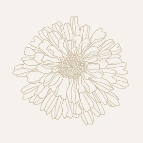 chrysanthemum - beige