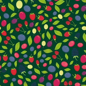 Cherry Strawberry Raspberry Blackberry Blueberry Cranberry Cowberry Goji Grape on dark green 