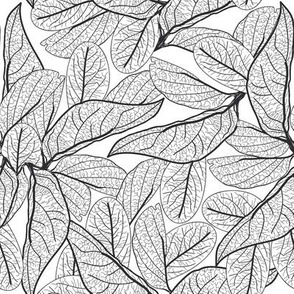 Leaves contours on white background. floral pattern