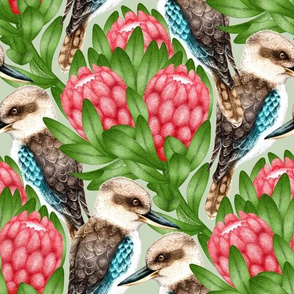 Australian Kookaburra with Proteas - on sage green 