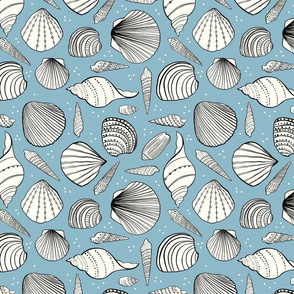 pass-a-grille beach shells in blue