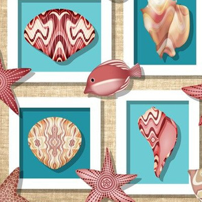 Shadow Box Seashells with Canvas Background //  // Coastal Beach Decor