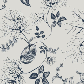 seashells and aquatic plants toile // large scale