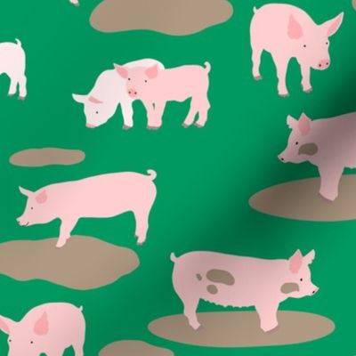 Country Pigs on Grass Green