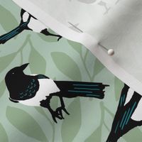 Magpies on Sage Green