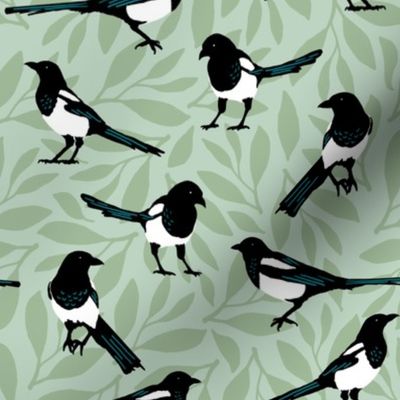 Magpies on Sage Green