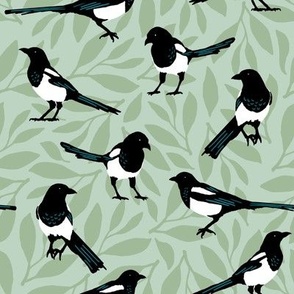 Magpies on Sage Green