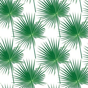 fan-leaved palm branch green on white