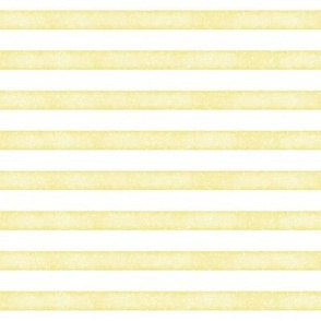 daisy salted watercolor stripes