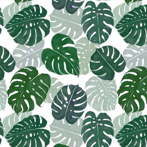 Moody Monstera Madness- White Background