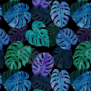 Cool Monstera Madness