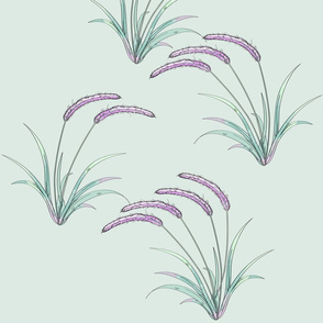 Purple Brush Beach Grass 