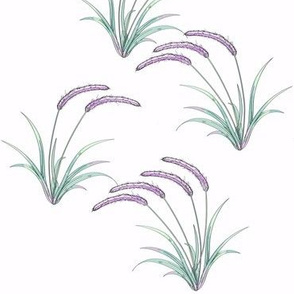 Purple Brush Grass small