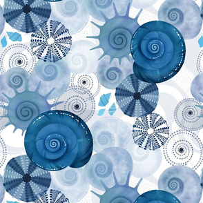 Spiral sea shells blue