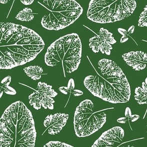 Leaf prints