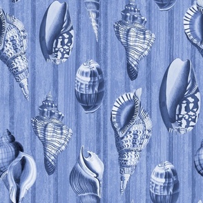 Nostalgic Seashell And Stripes Navy Blue