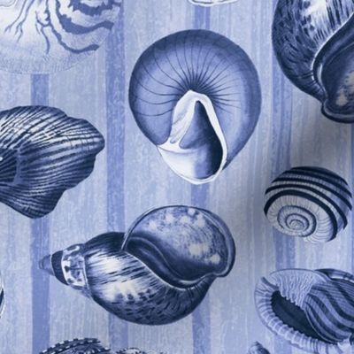 Nostalgic Seashell And Stripes Pattern Navy Blue