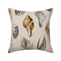 Vintage Shells Brown