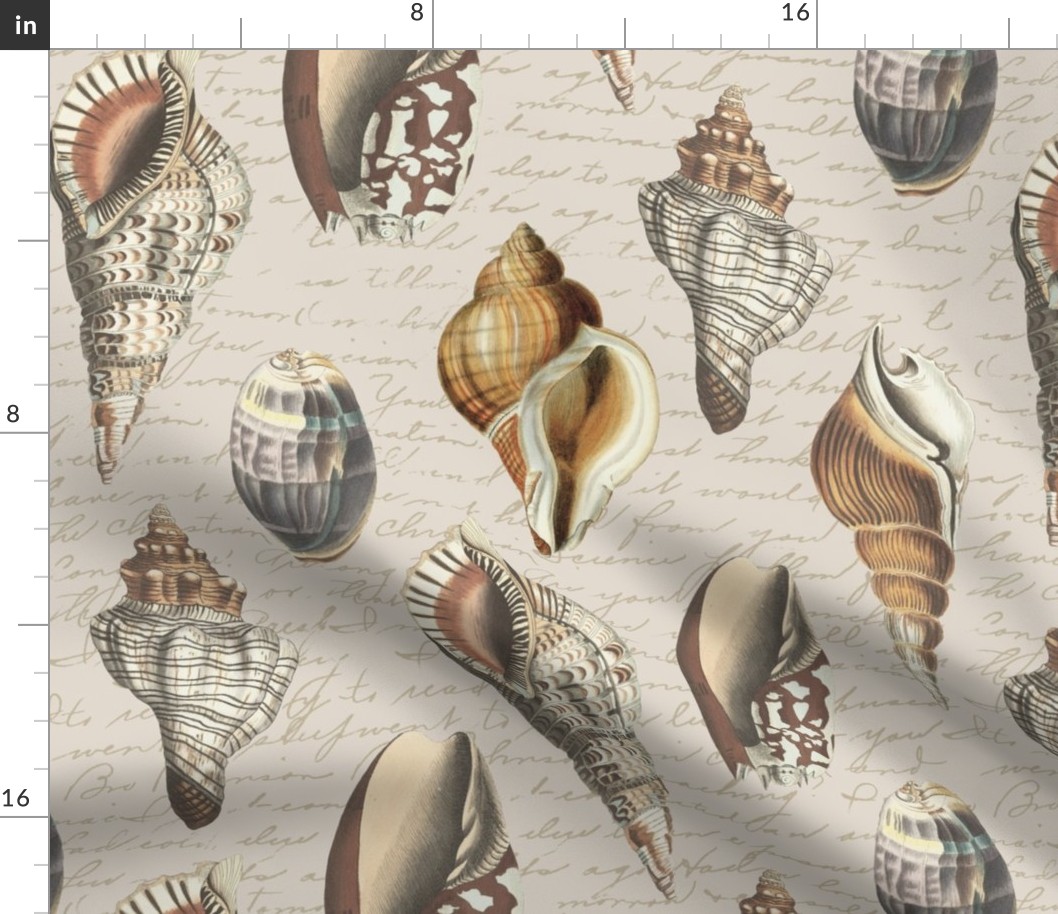 Vintage Shells Brown