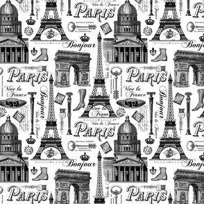 Vintage Paris Black and White