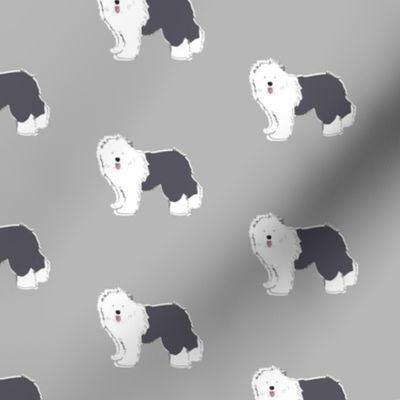 Old English Sheepdog on Light Grey