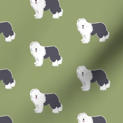 Old English Sheep Dog on Olive Green