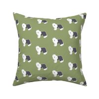 Old English Sheep Dog on Olive Green