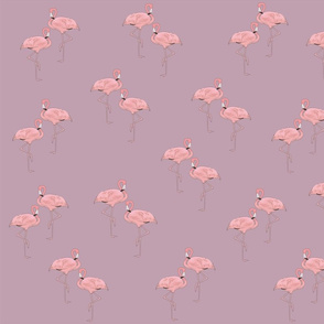 Flamingos Pale Purple