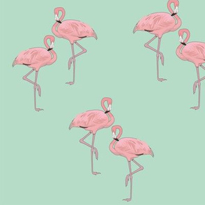 Flamingos Mint