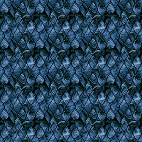 Jeans blue scales