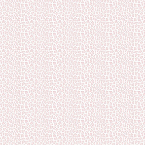 Ballet pink leopard cheetah SMALL