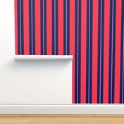 Red and Navy Blue Cabana Beach Bubble Stripes