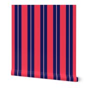 Red and Navy Blue Cabana Beach Bubble Stripes