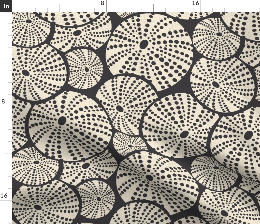 Bed Of Urchins - Nautical Sea Urchins - Charcoal Ivory Large Scale 