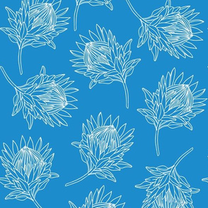 blue protea