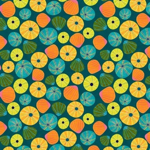 Donut Shells - Blue Green background (12"x10" repeat)