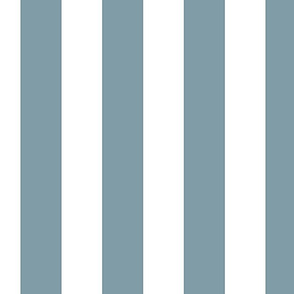 2.5" stone blue cabana stripe
