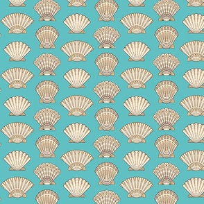 Decorative Seashells Turquoise