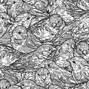 A Crowd of Sparrows in black and white