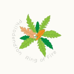 Embroidery - Indoor Jungle Philodendron Ring of Fire