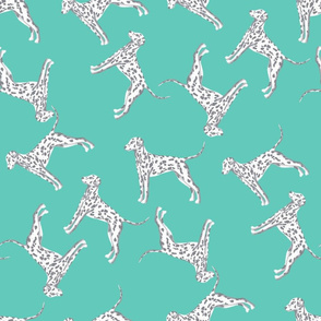 Ditzy Dalmatians aqua 