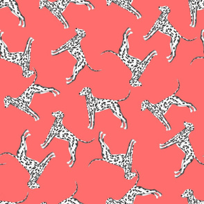 Ditzy Dalmatians coral