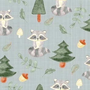 Cute Woodland Racoons
