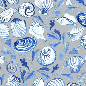 blue shells - medium scale - on grey