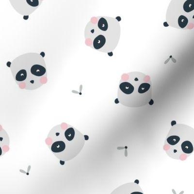 Panda bear