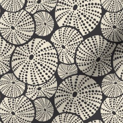 Bed Of Urchins - Nautical Sea Urchins - Charcoal Ivory Regular Scale 
