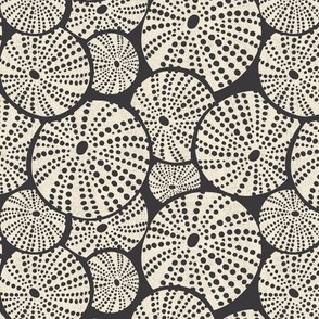 Bed Of Urchins - Nautical Sea Urchins - Charcoal Ivory Regular Scale 